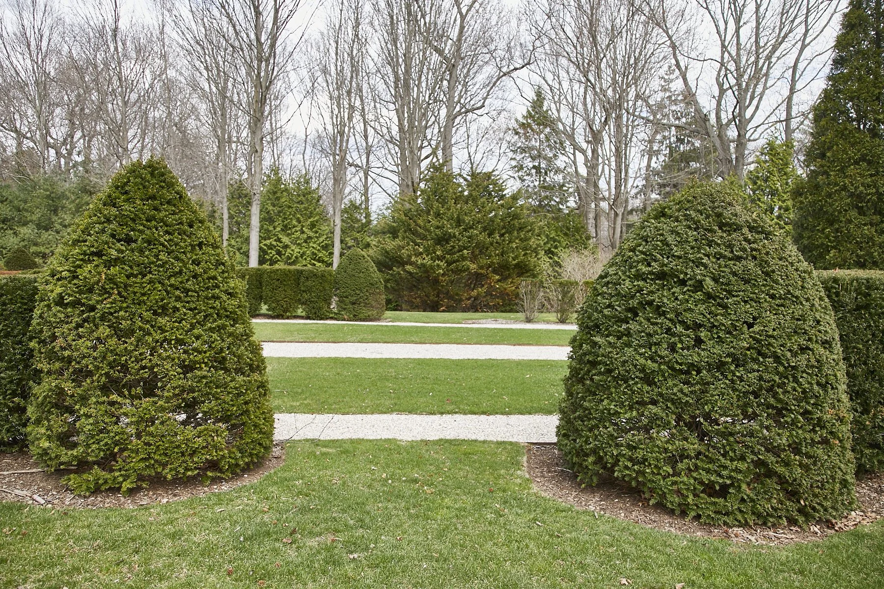 1985-4 Cedar Swamp , GLEN HEAD_143.jpg