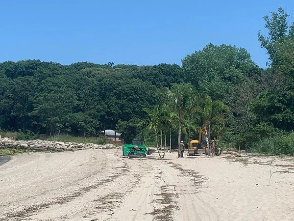 CMPD15_ PALM TREES ADDED FOR SHOOT-M.jpg