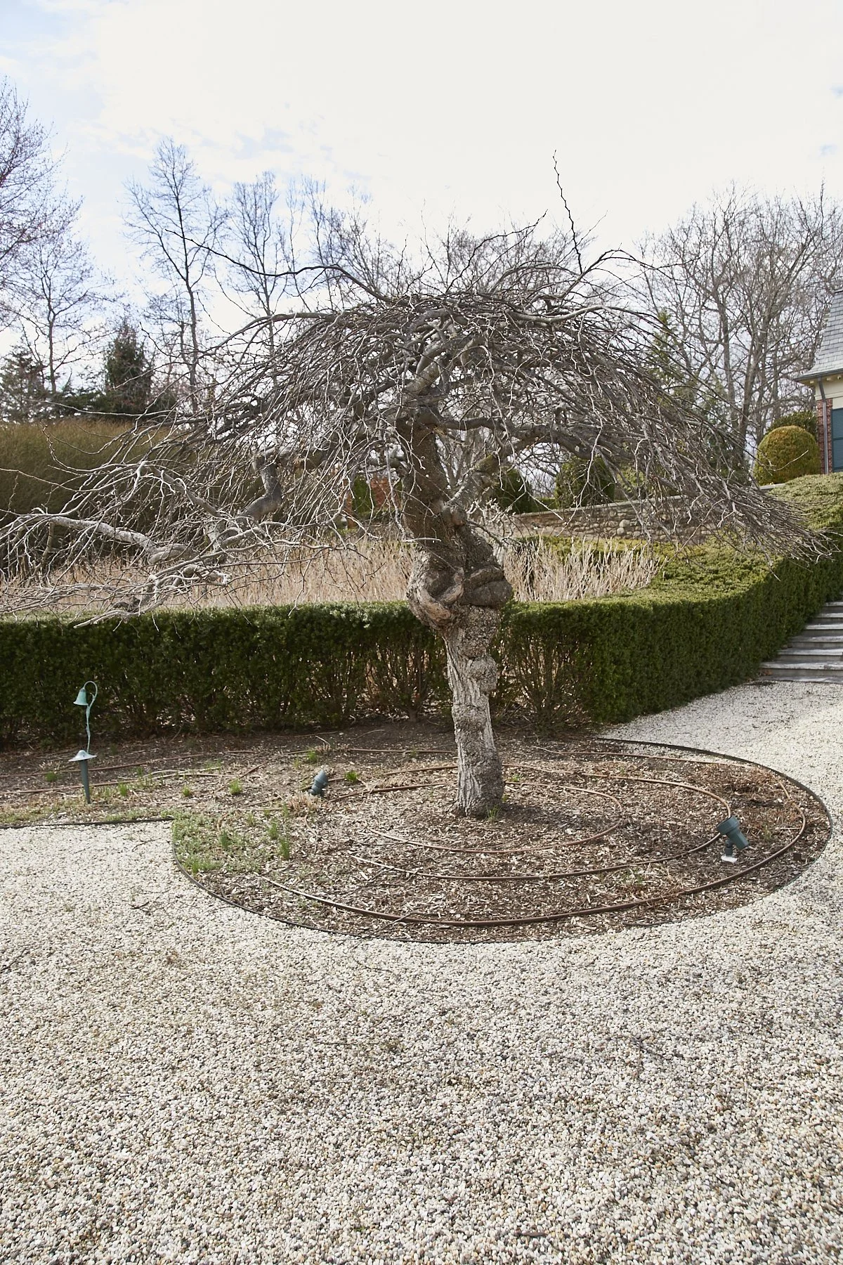 1985-4 Cedar Swamp , GLEN HEAD_190.jpg