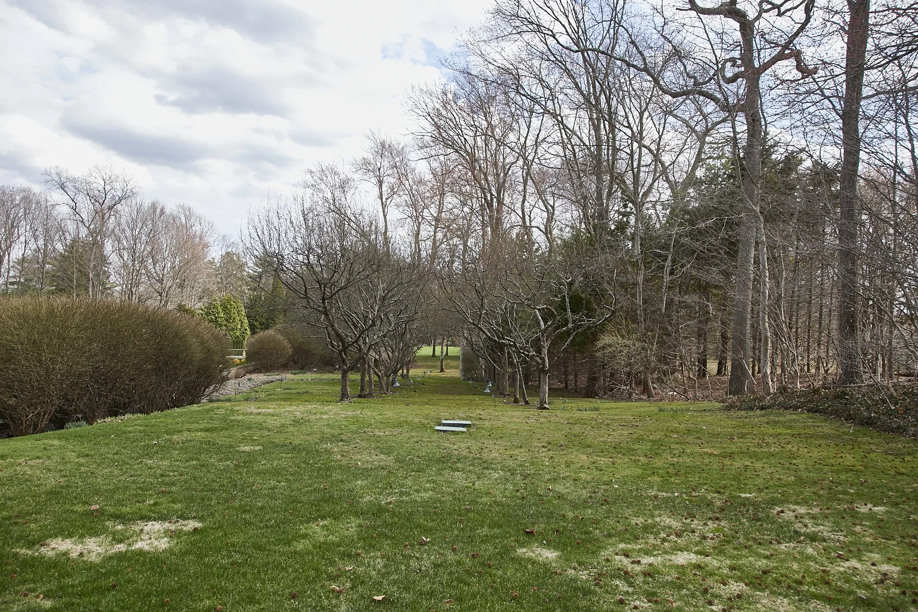 1985-4 Cedar Swamp , GLEN HEAD_256.jpg