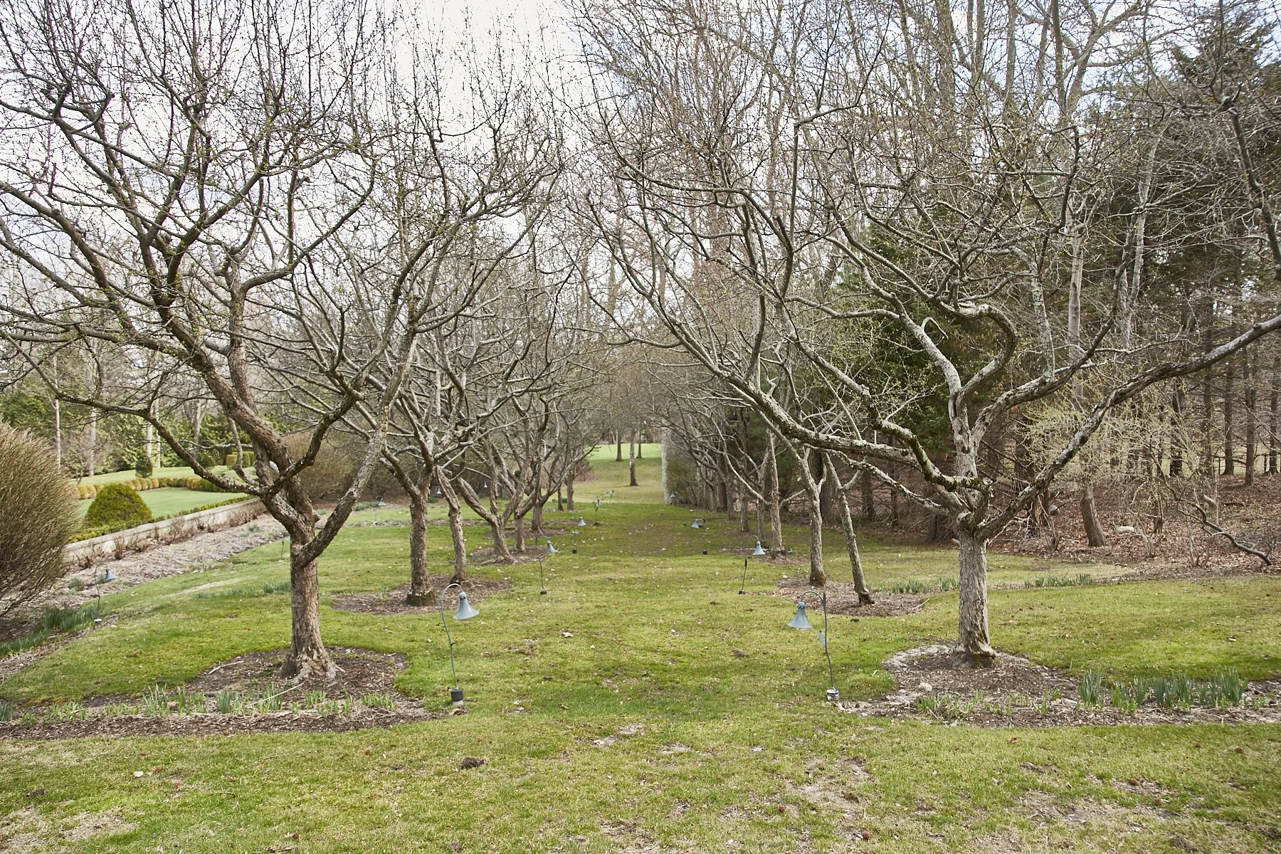 1985-4 Cedar Swamp , GLEN HEAD_264.jpg