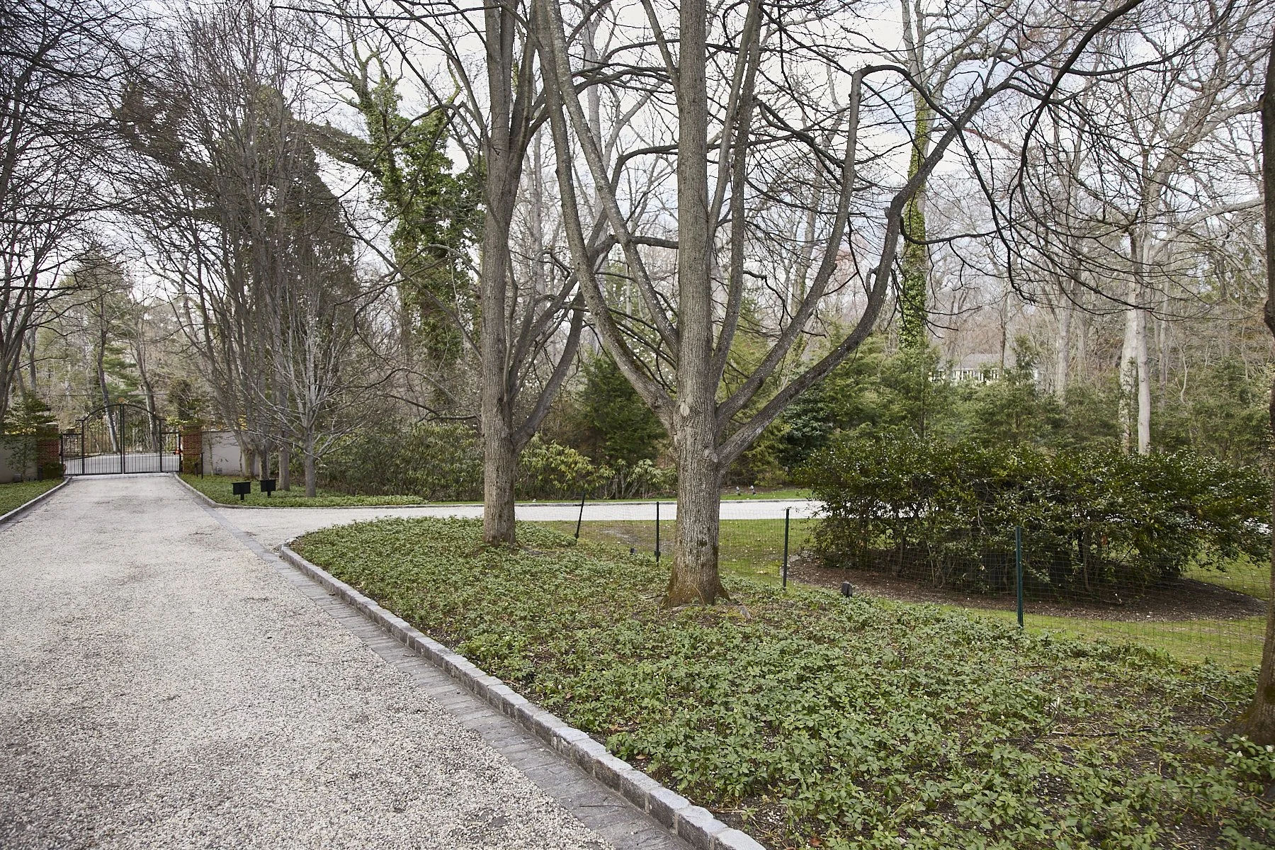 1985-4 Cedar Swamp , GLEN HEAD_302.jpg