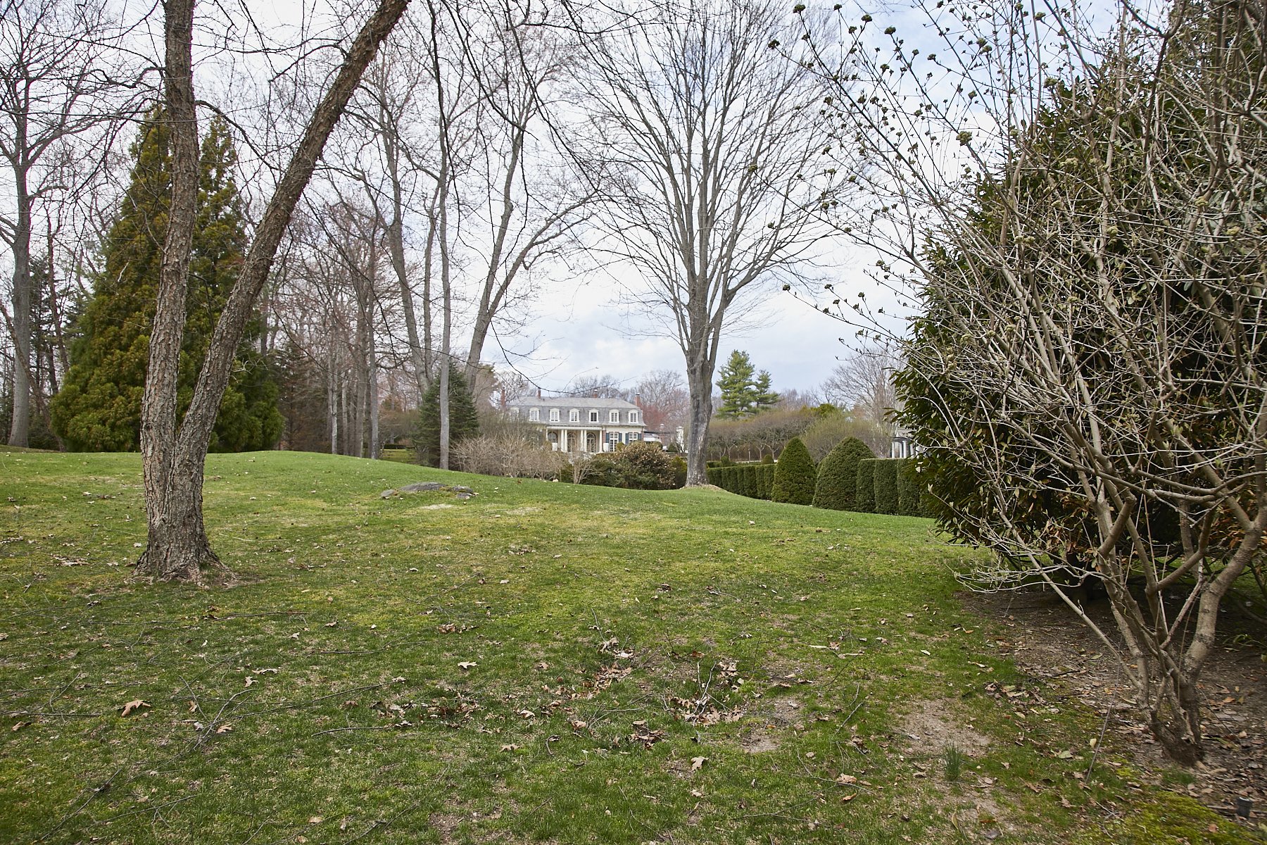 1985-4 Cedar Swamp , GLEN HEAD_121.jpg