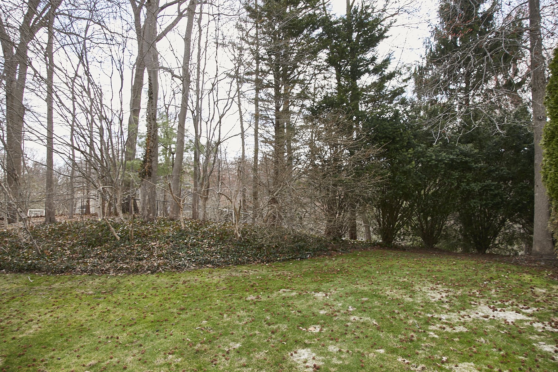 1985-4 Cedar Swamp , GLEN HEAD_262.jpg