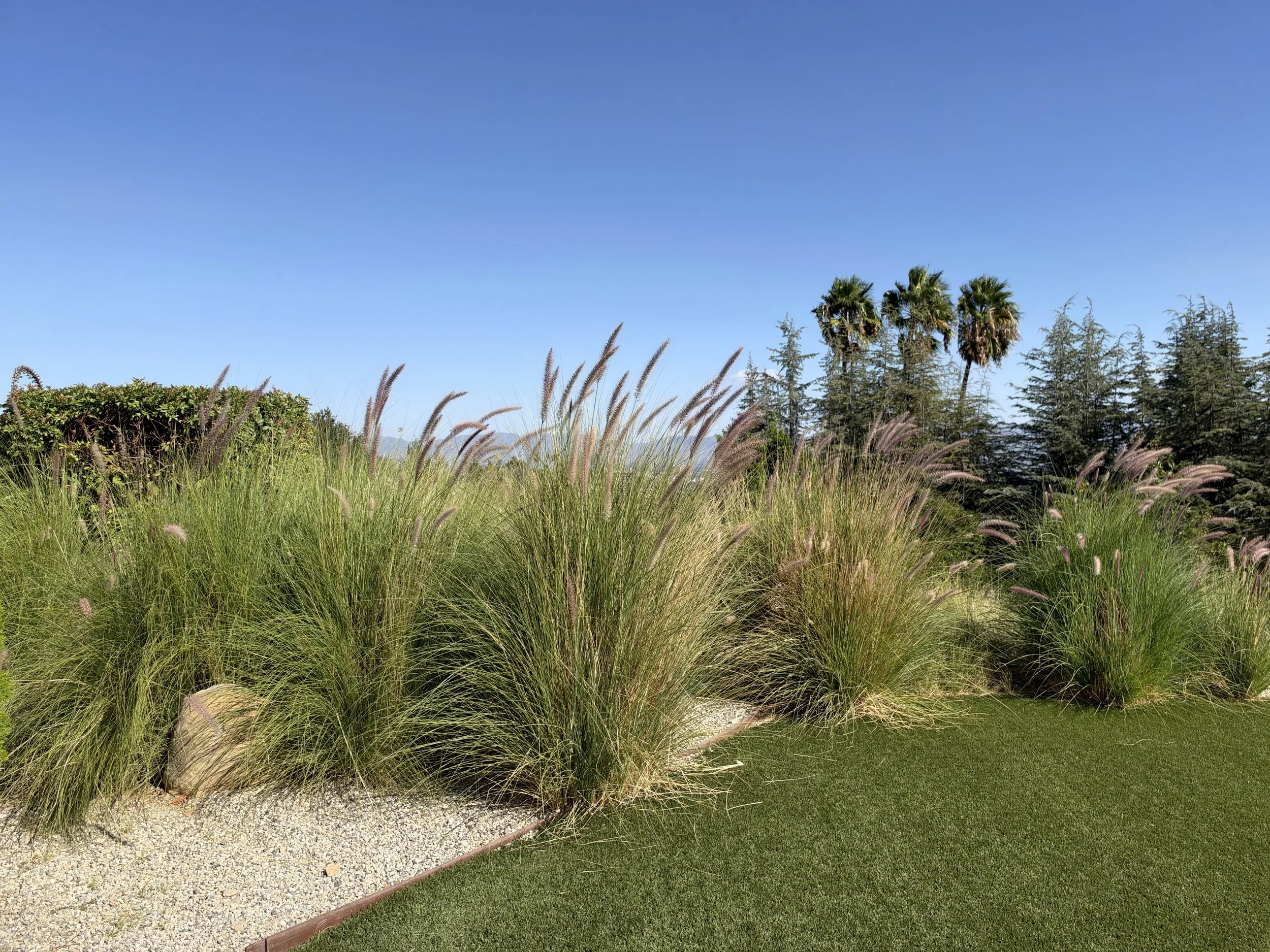 EXTERIORS-26.jpg