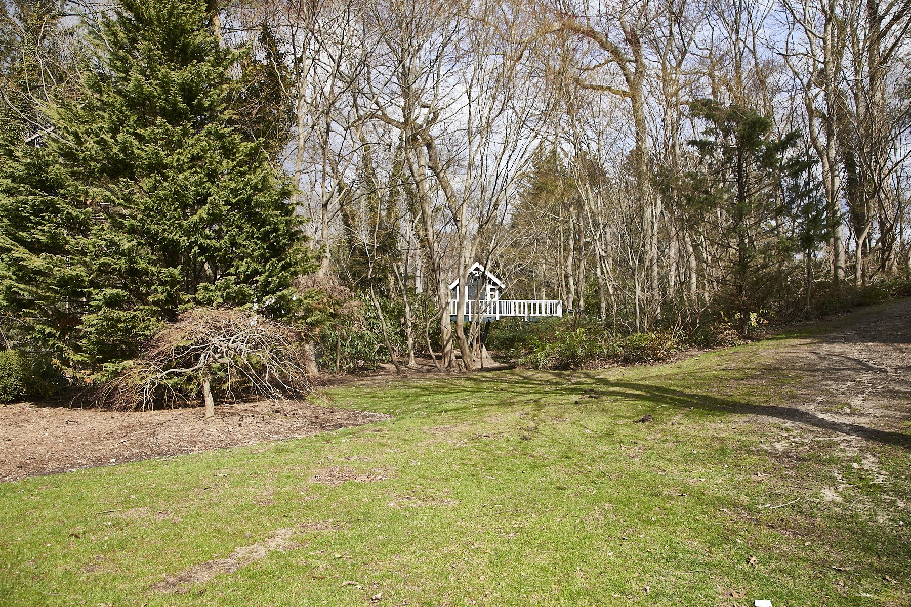 1985-4 Cedar Swamp , GLEN HEAD_325.jpg