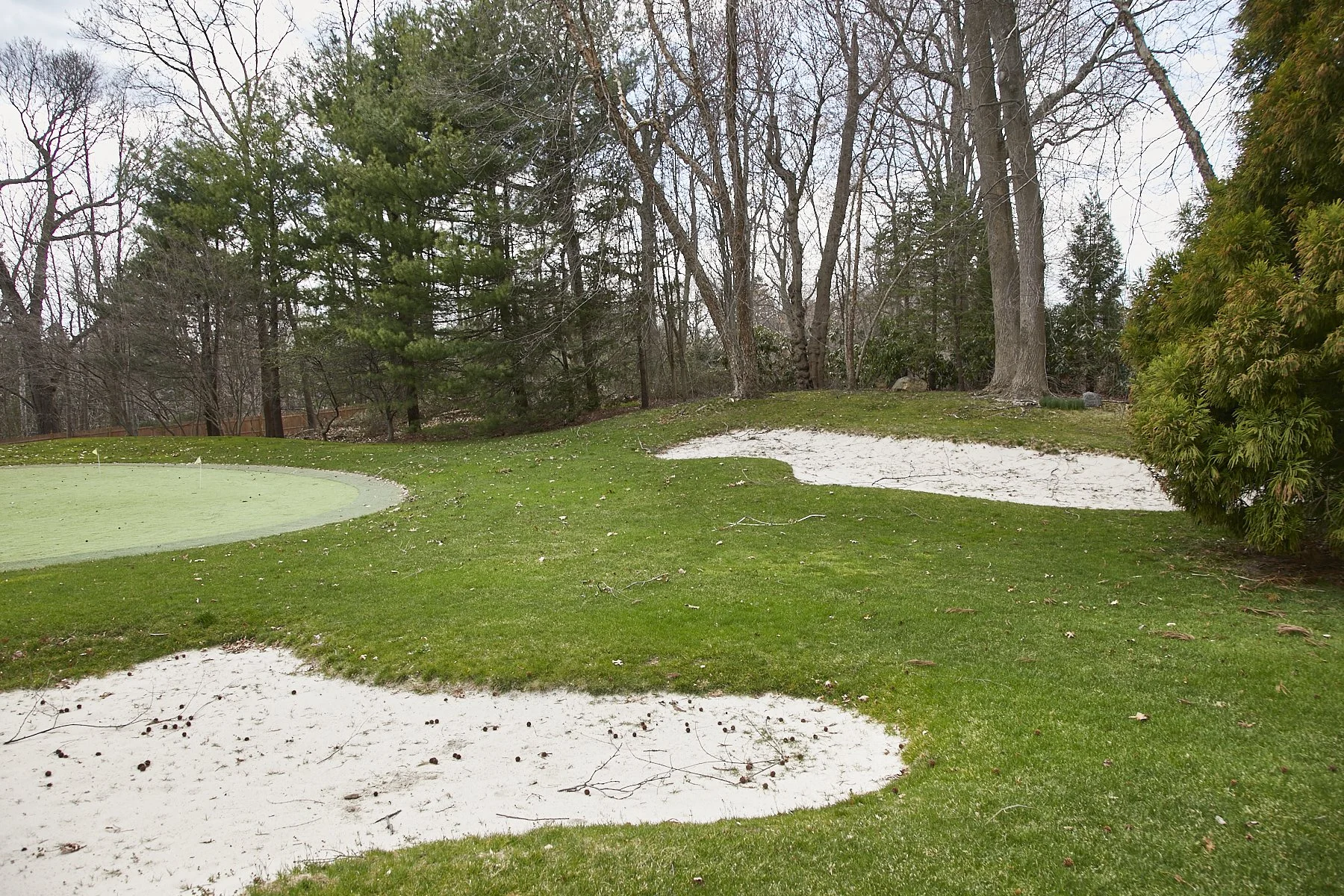 1985-4 Cedar Swamp , GLEN HEAD_140.jpg