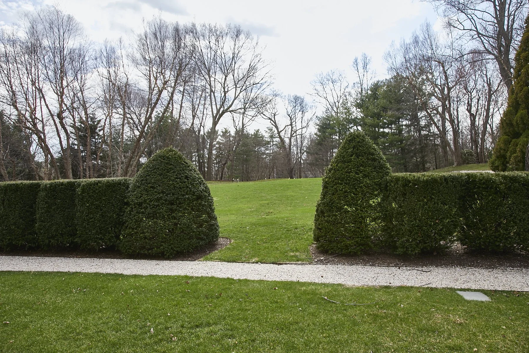 1985-4 Cedar Swamp , GLEN HEAD_152.jpg