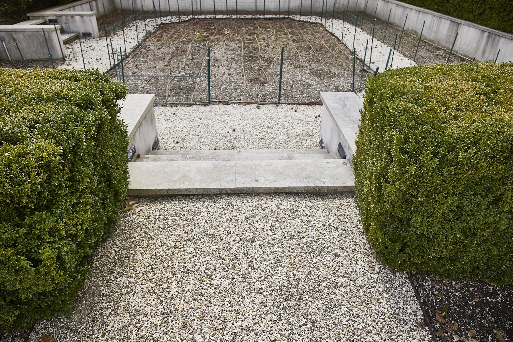 1985-4 Cedar Swamp , GLEN HEAD_249.jpg