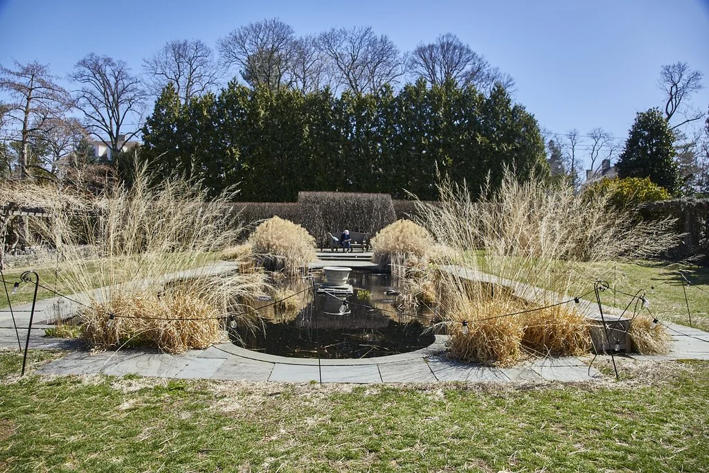 WAVE_HILL_BRONX_407.jpg