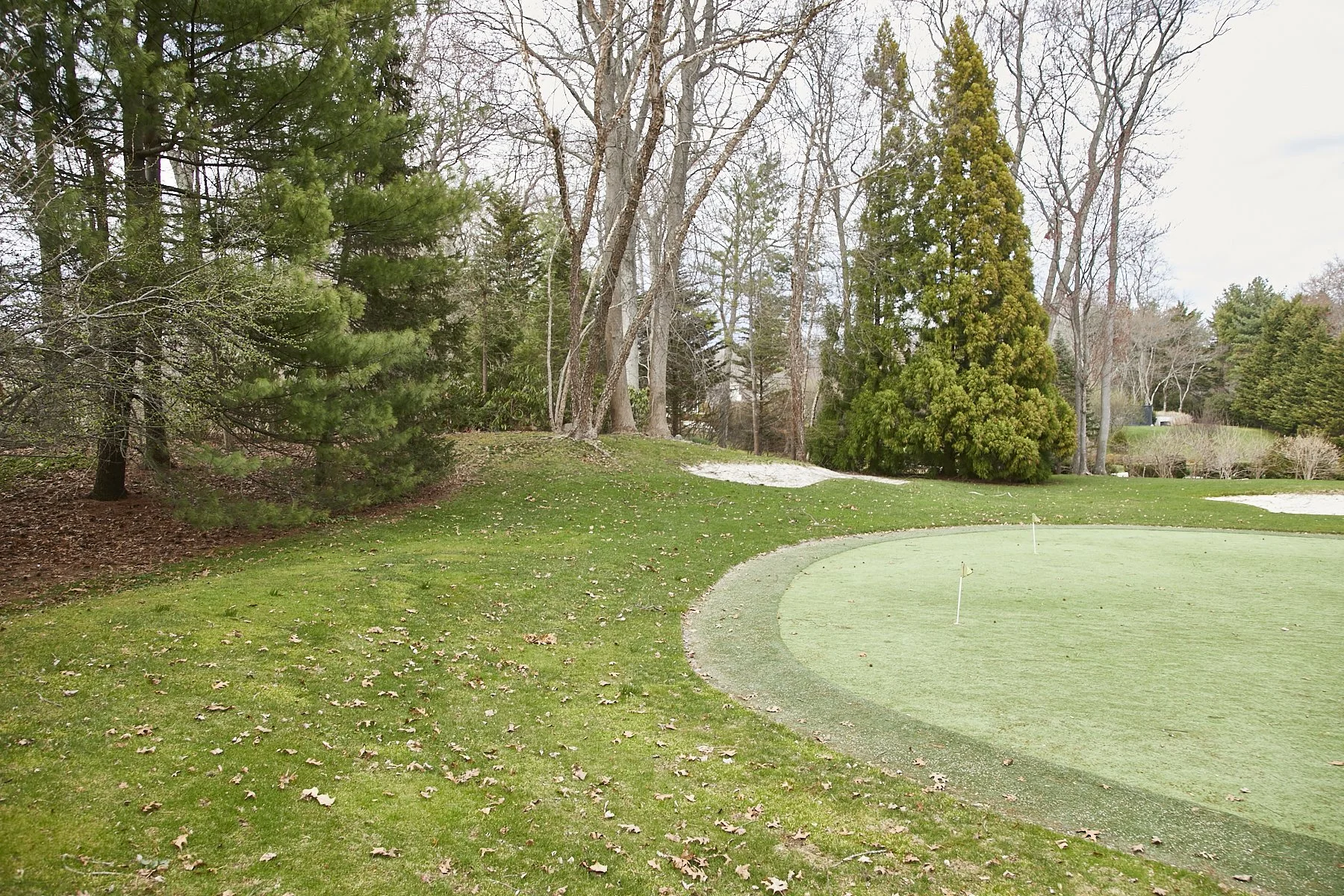 1985-4 Cedar Swamp , GLEN HEAD_134.jpg
