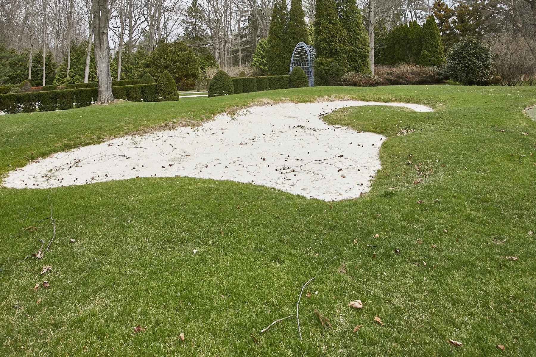 1985-4 Cedar Swamp , GLEN HEAD_138.jpg