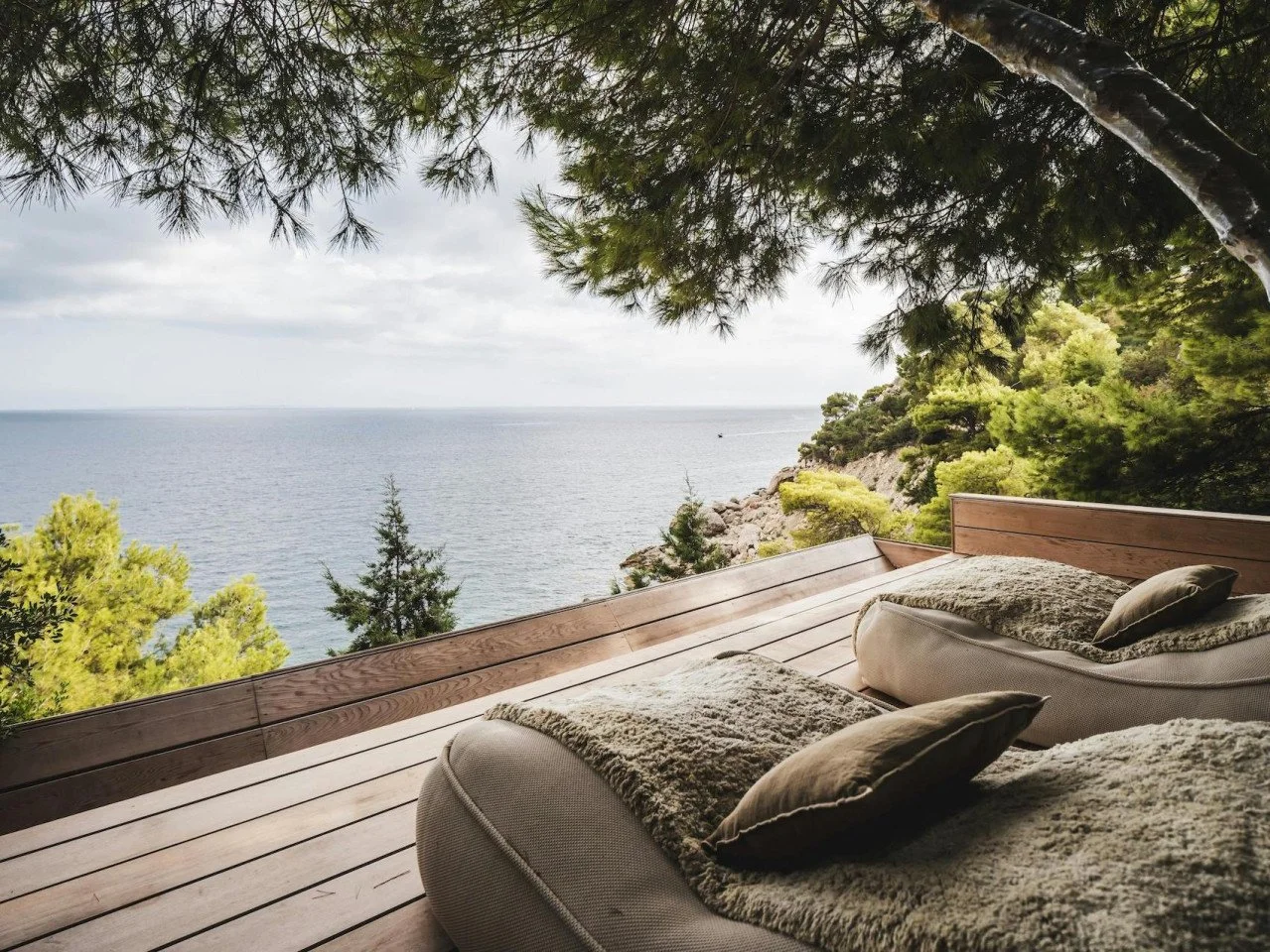 ocean-paradise-16072024-093730391.jpg