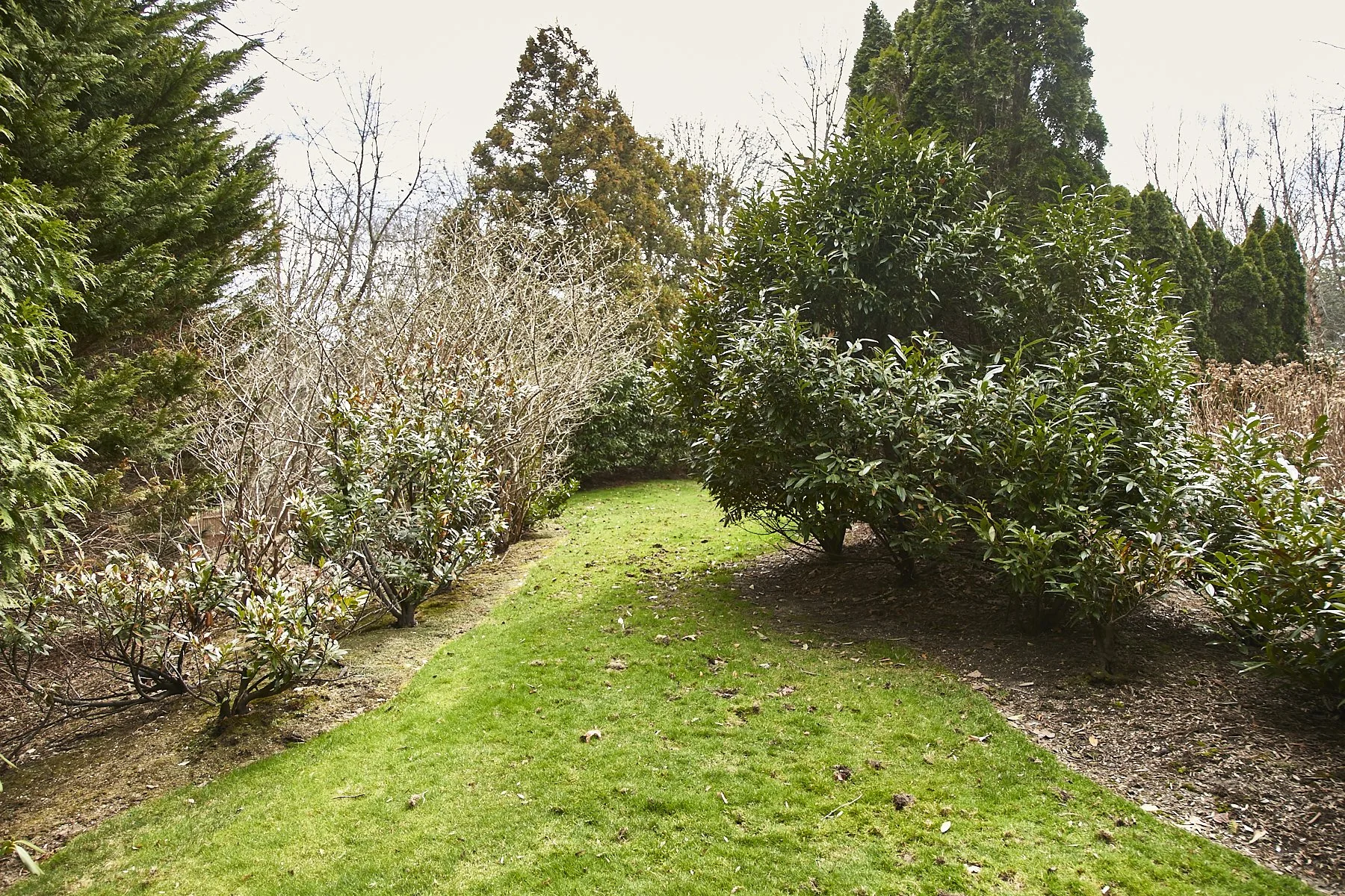 1985-4 Cedar Swamp , GLEN HEAD_114.jpg