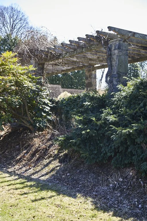 WAVE_HILL_BRONX_396.jpg