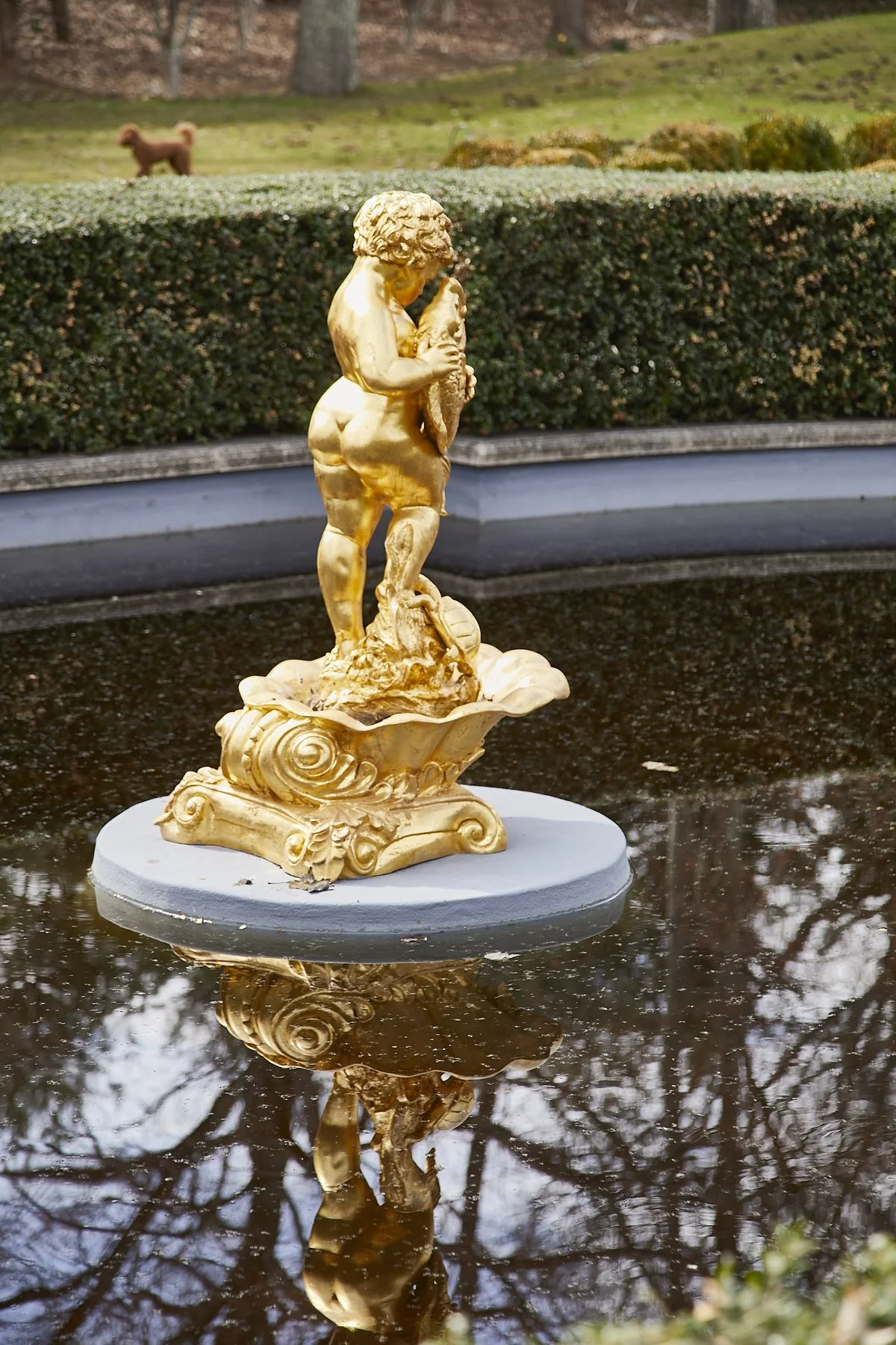 1985-4 Cedar Swamp , GLEN HEAD_169.jpg