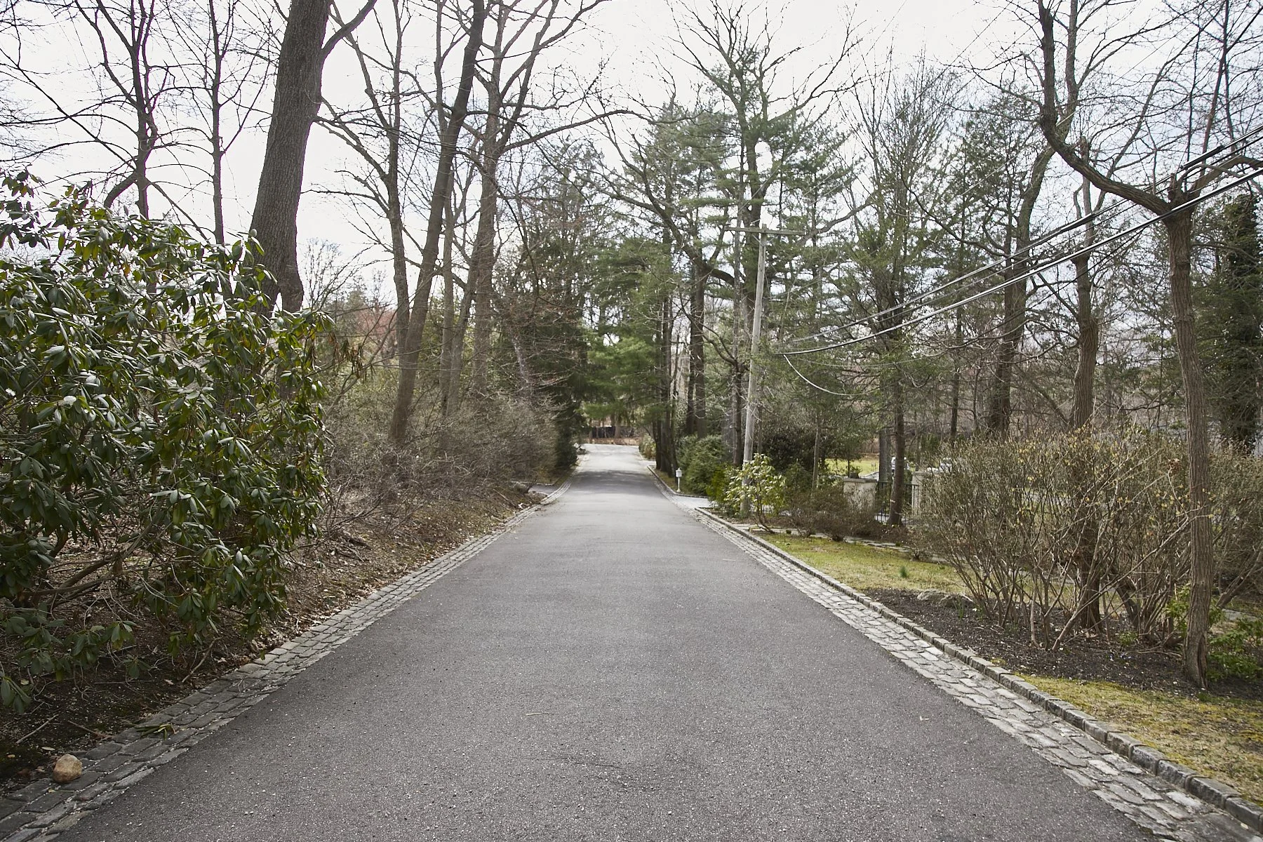 1985-4 Cedar Swamp , GLEN HEAD_340.jpg