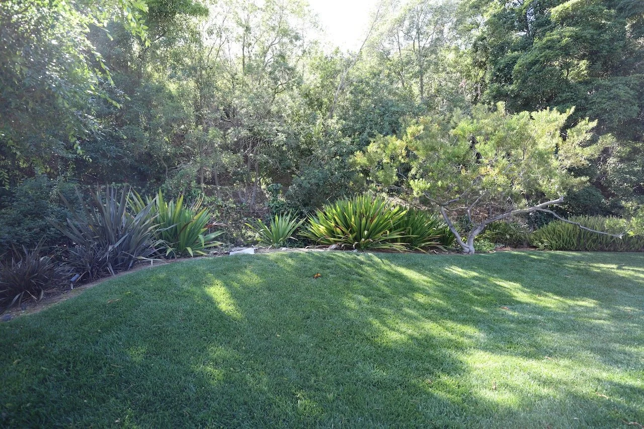 335A3679.jpg