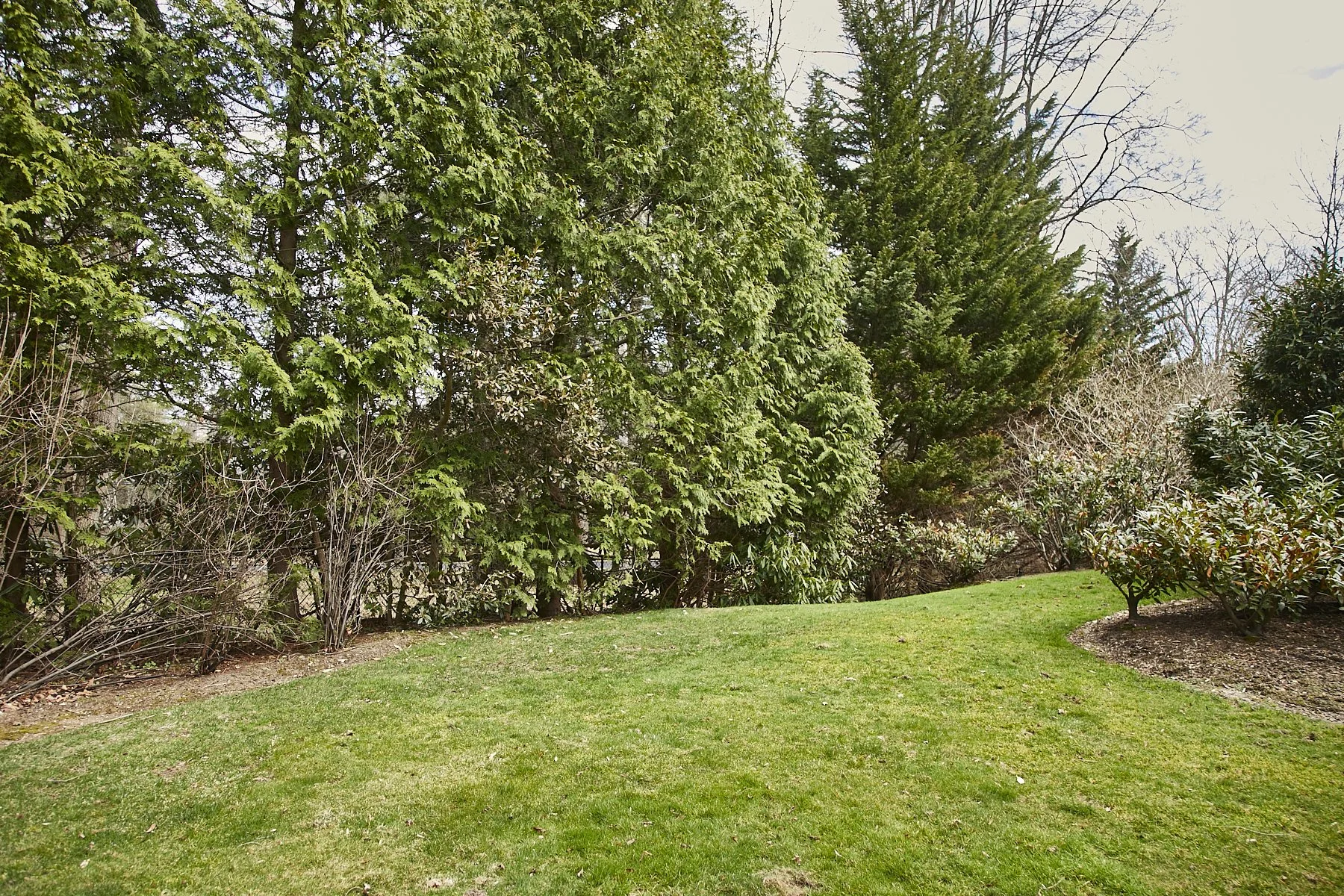 1985-4 Cedar Swamp , GLEN HEAD_113.jpg