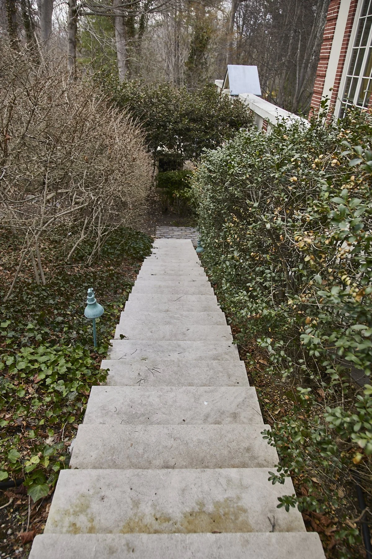 1985-4 Cedar Swamp , GLEN HEAD_277.jpg