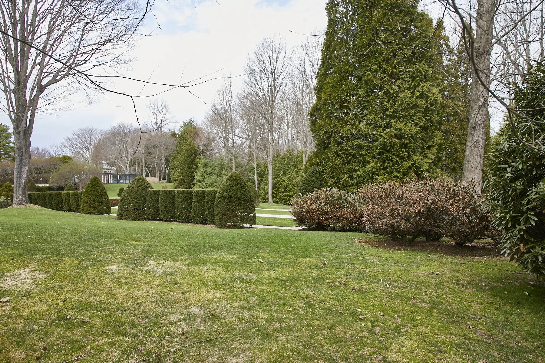 1985-4 Cedar Swamp , GLEN HEAD_123.jpg