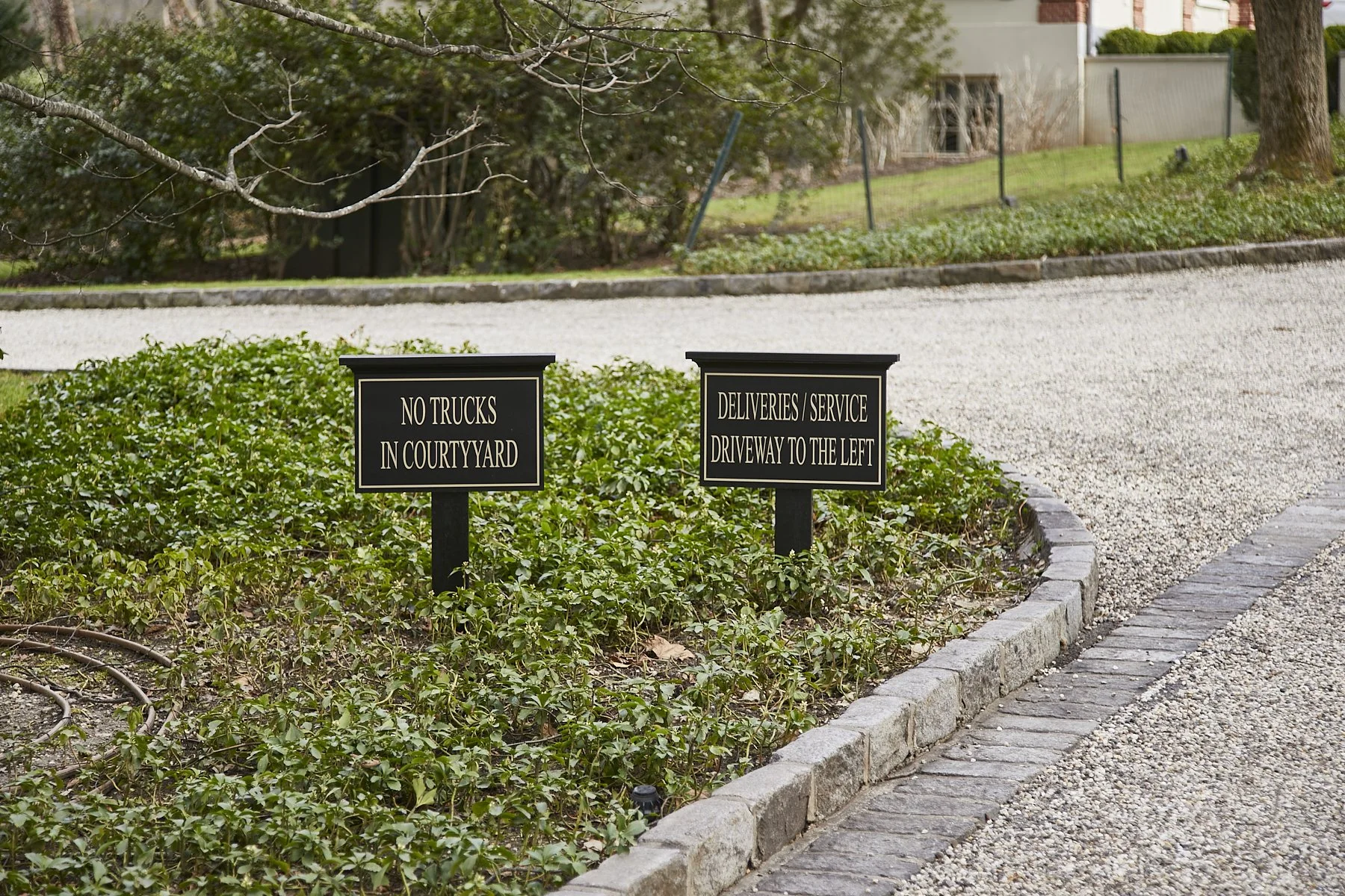 1985-4 Cedar Swamp , GLEN HEAD_311.jpg