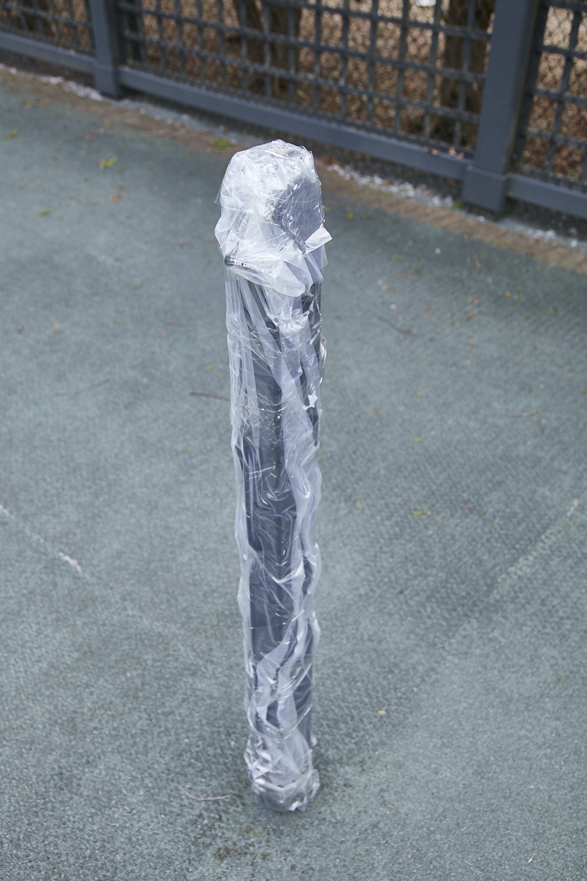 1985-4 Cedar Swamp , GLEN HEAD_68.jpg