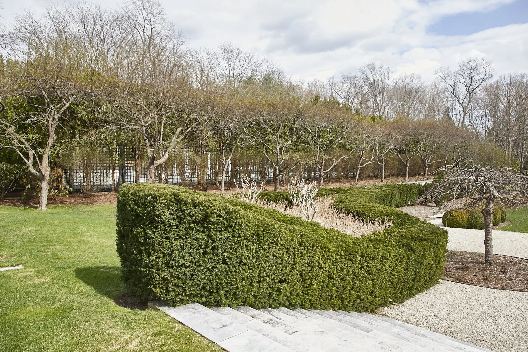 1985-4 Cedar Swamp , GLEN HEAD_199.jpg