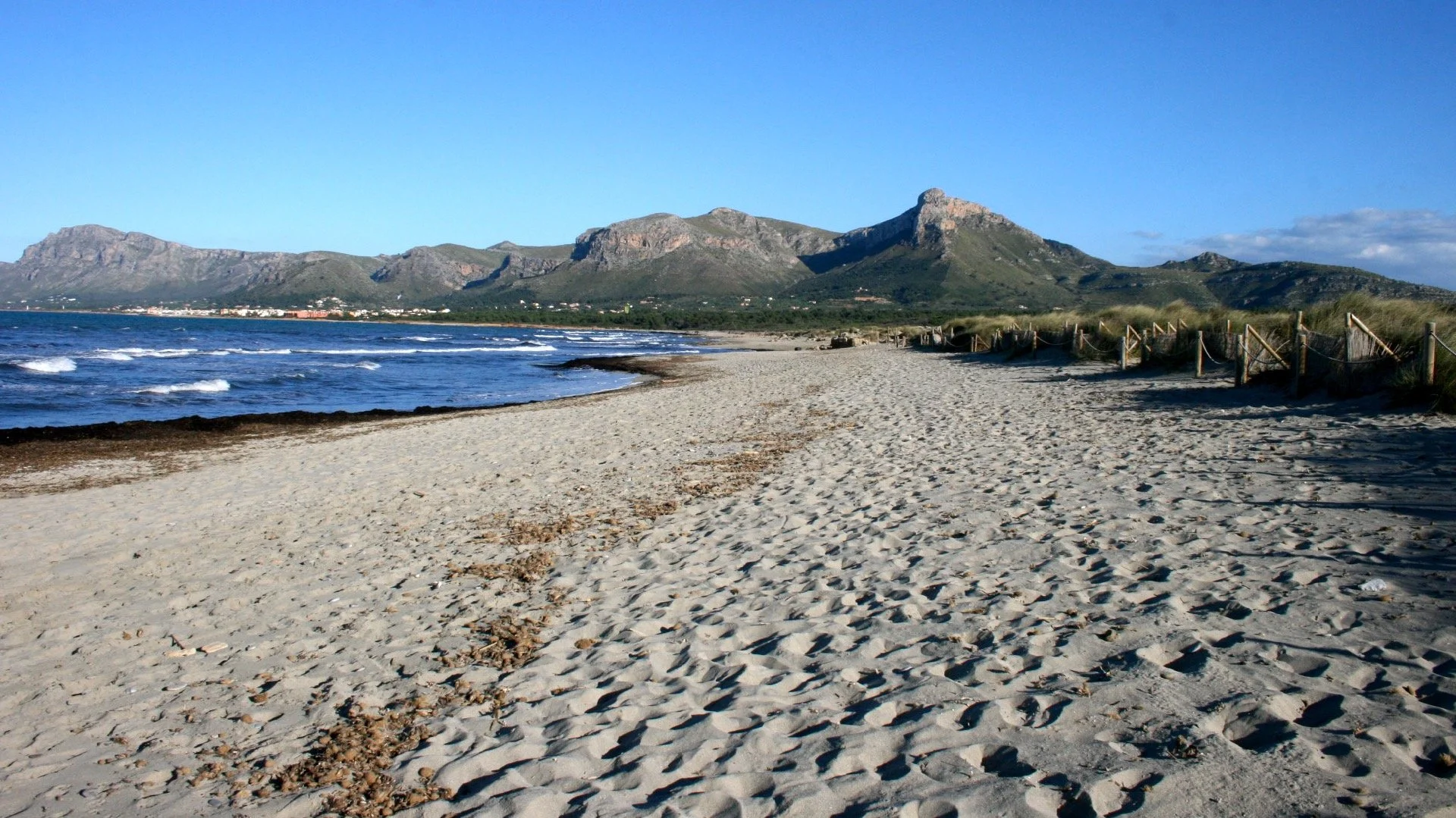 SonSerra_4.jpg