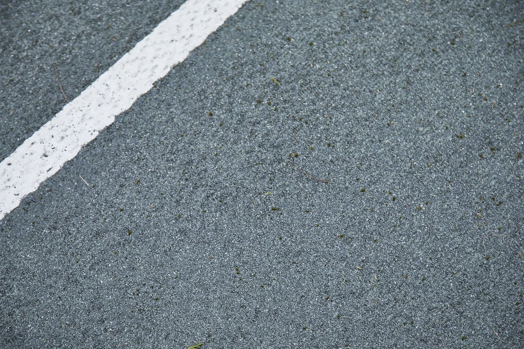 1985-4 Cedar Swamp , GLEN HEAD_75.jpg