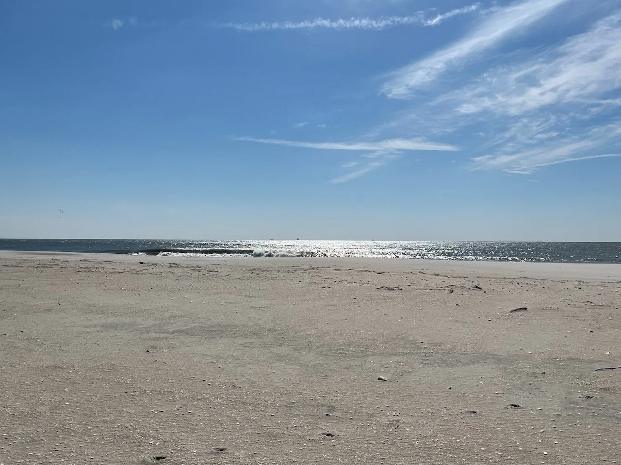 IMG_1217.jpeg