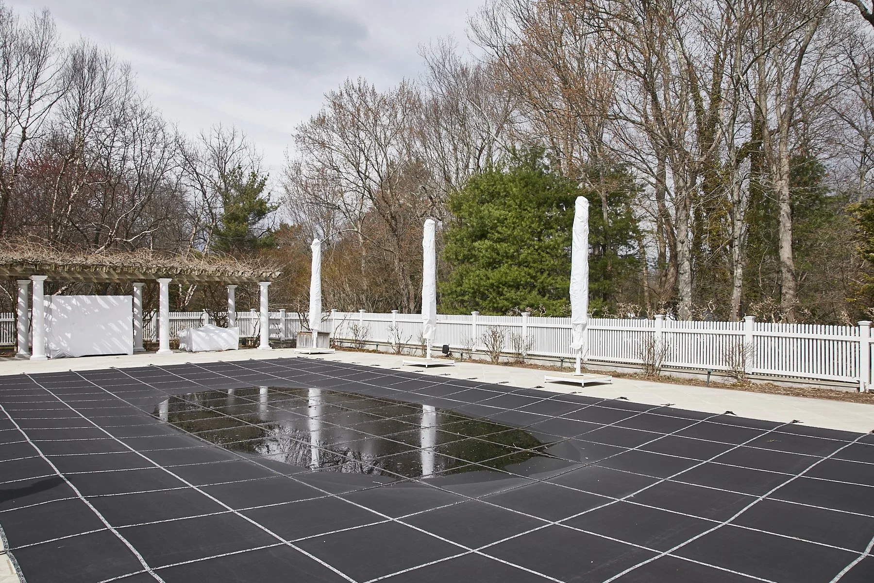 1985-4 Cedar Swamp , GLEN HEAD_30.jpg