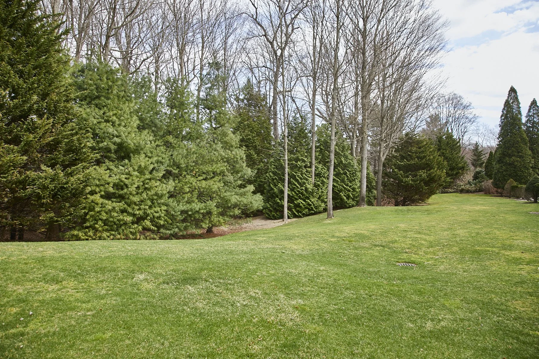 1985-4 Cedar Swamp , GLEN HEAD_101.jpg