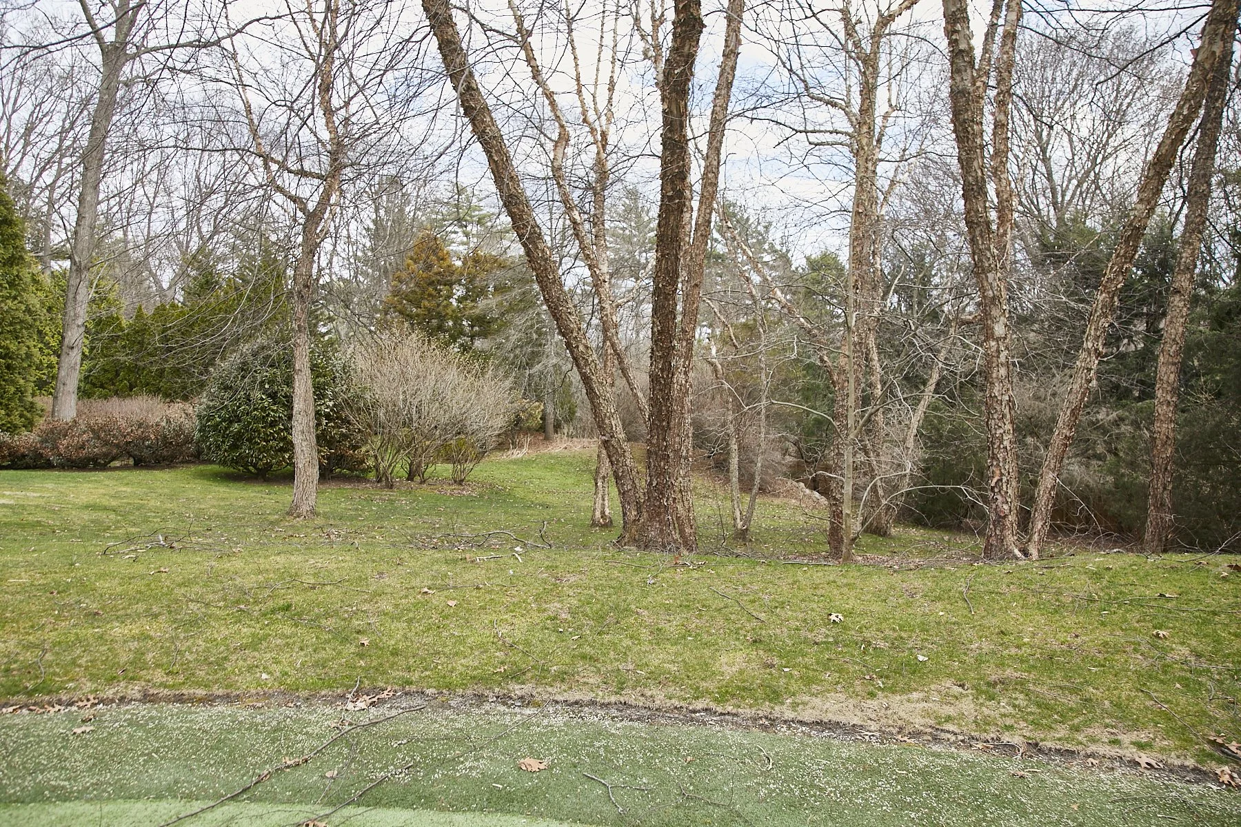 1985-4 Cedar Swamp , GLEN HEAD_132.jpg