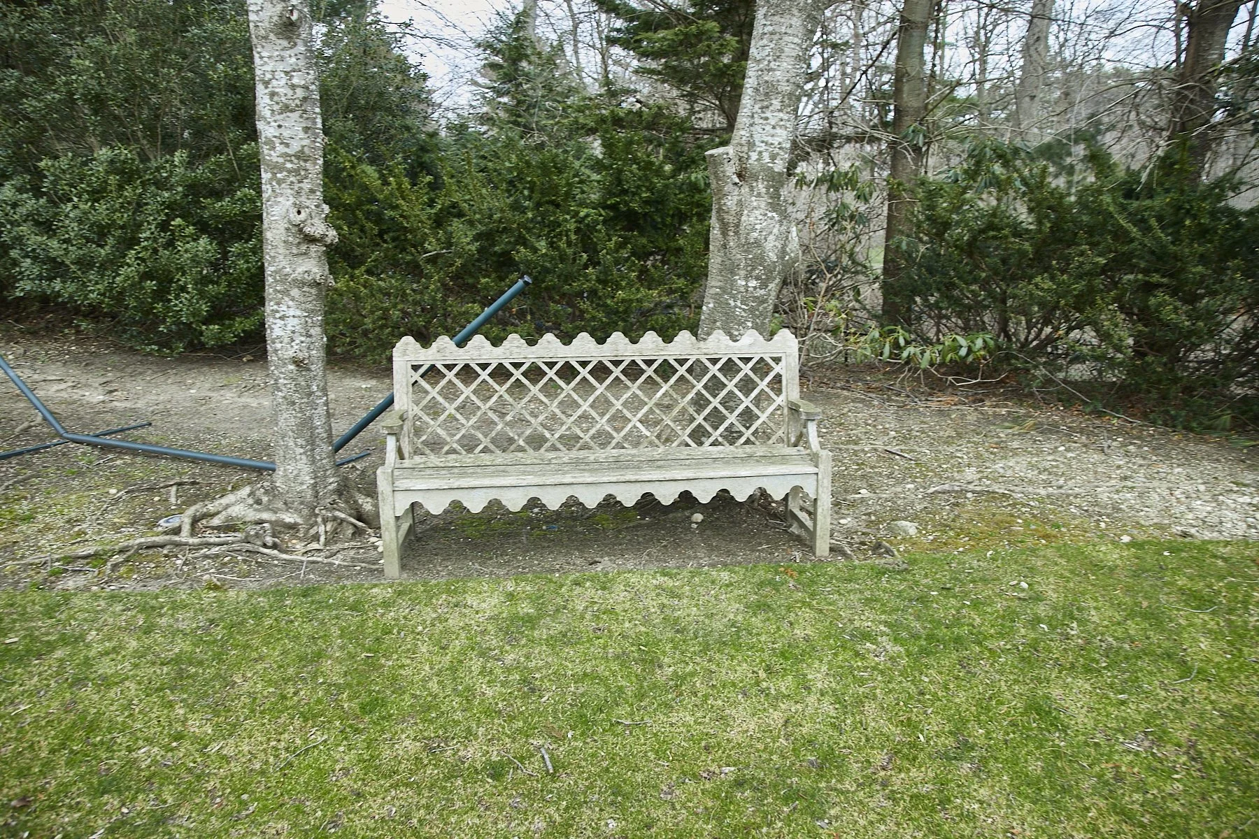 1985-4 Cedar Swamp , GLEN HEAD_91.jpg