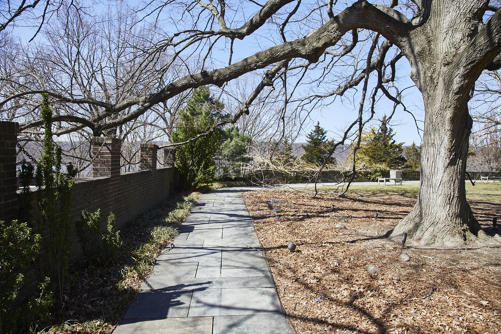 WAVE_HILL_BRONX_503.jpg