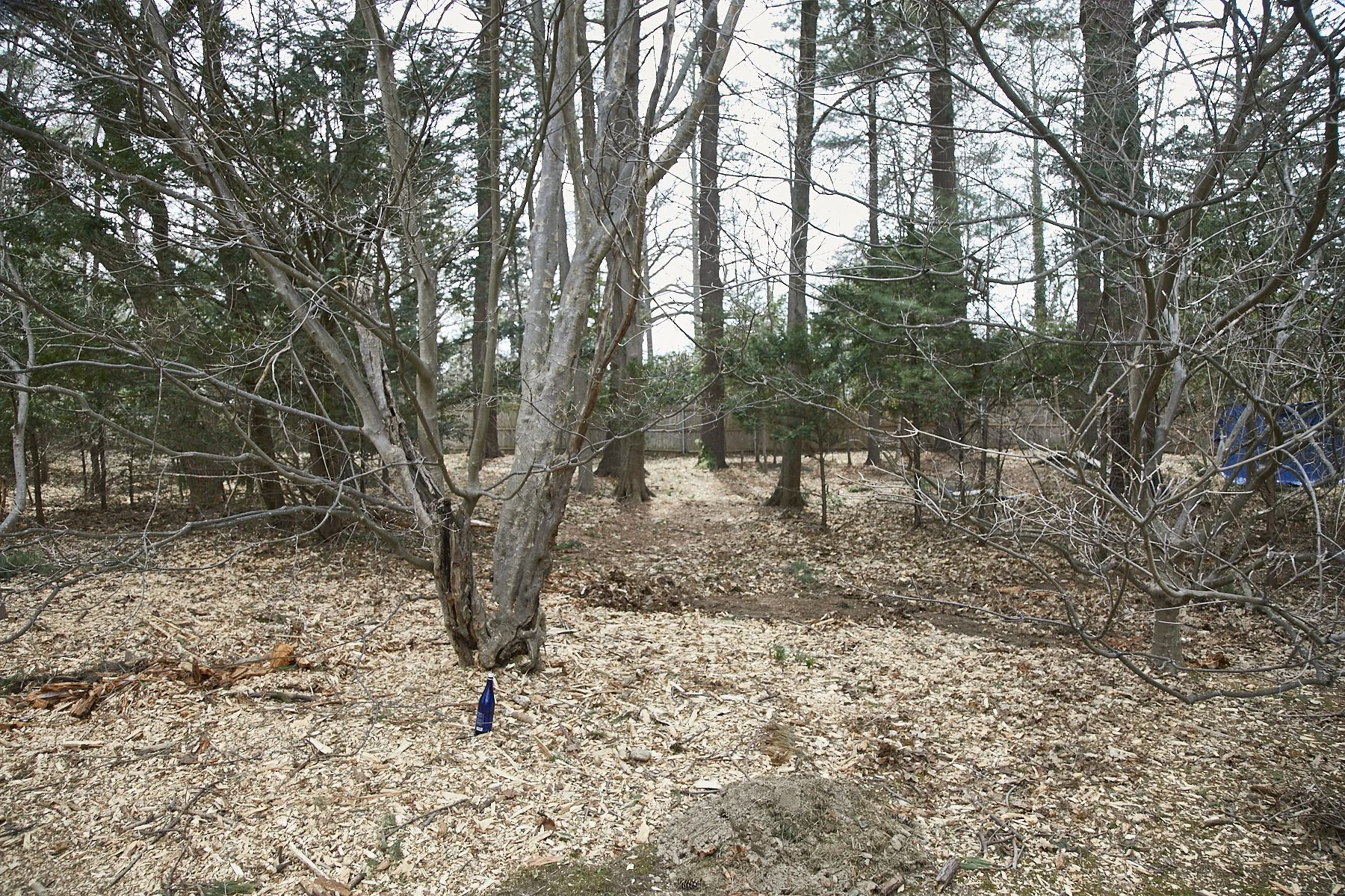 3 MEADOW SPRING LANE - GLEN COVE_118.jpg