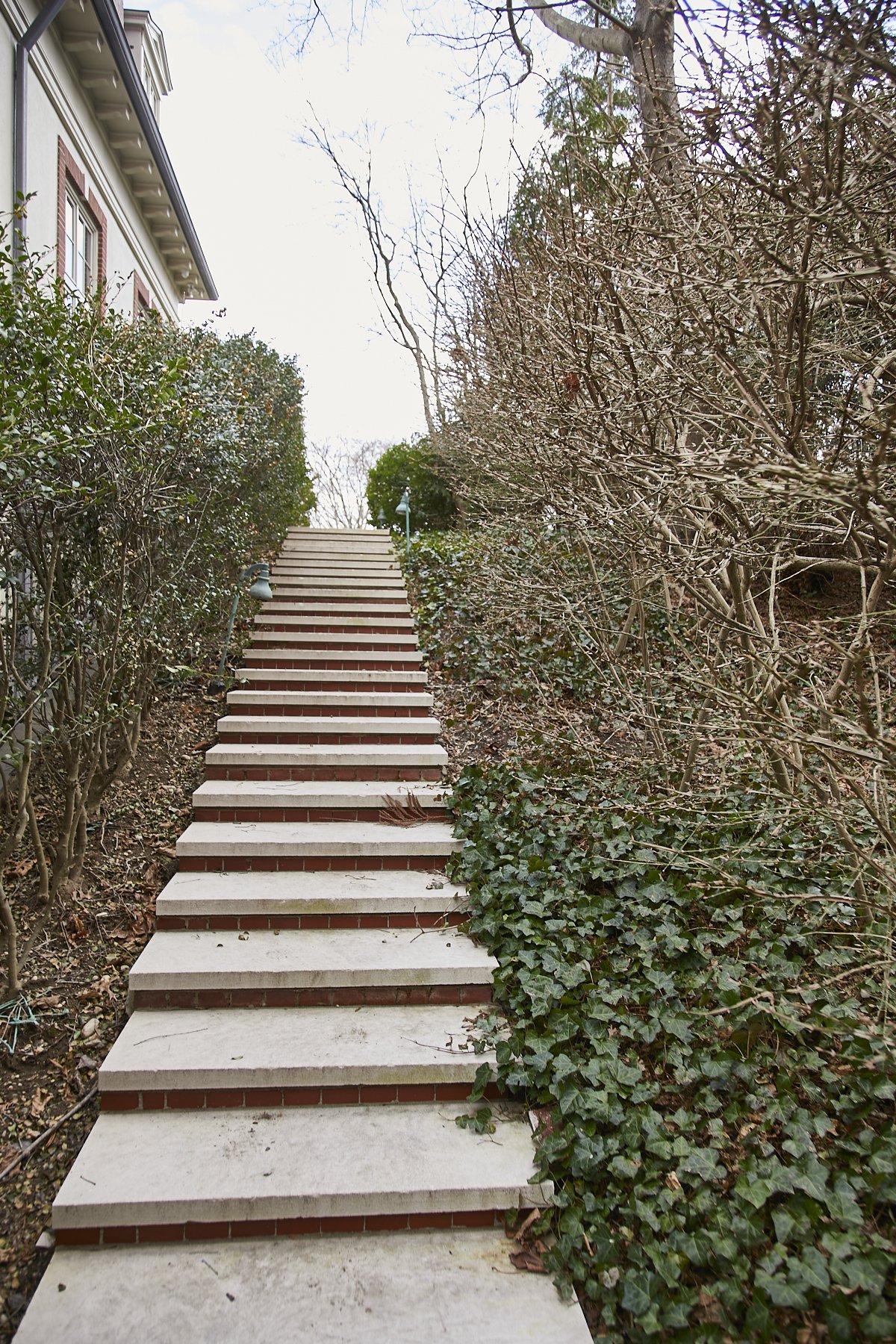 1985-4 Cedar Swamp , GLEN HEAD_278.jpg