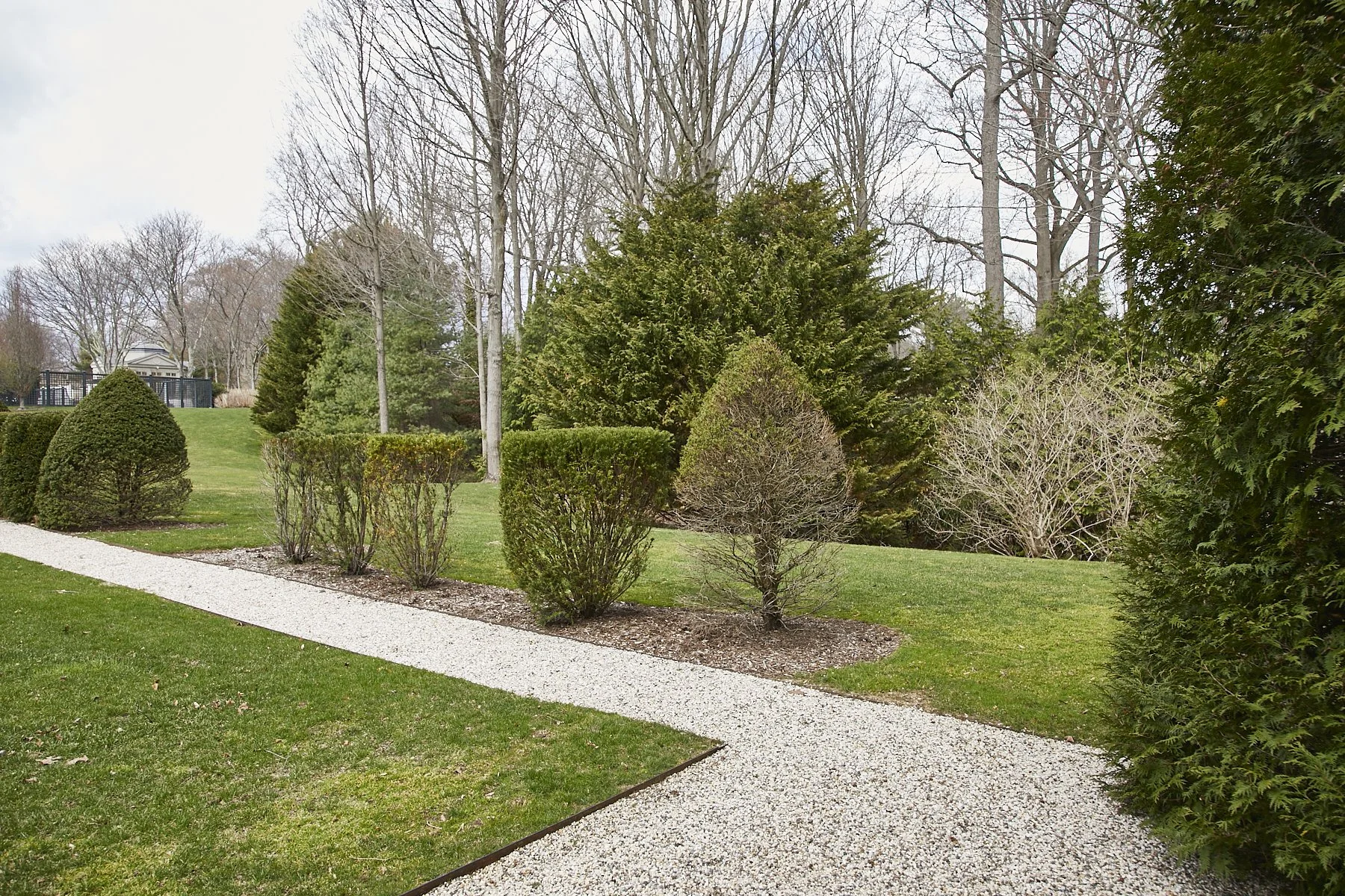 1985-4 Cedar Swamp , GLEN HEAD_146.jpg