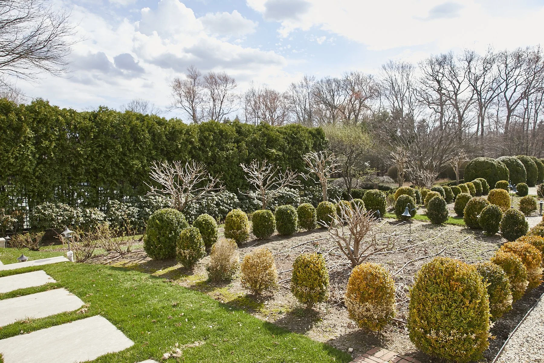 1985-4 Cedar Swamp , GLEN HEAD_215.jpg
