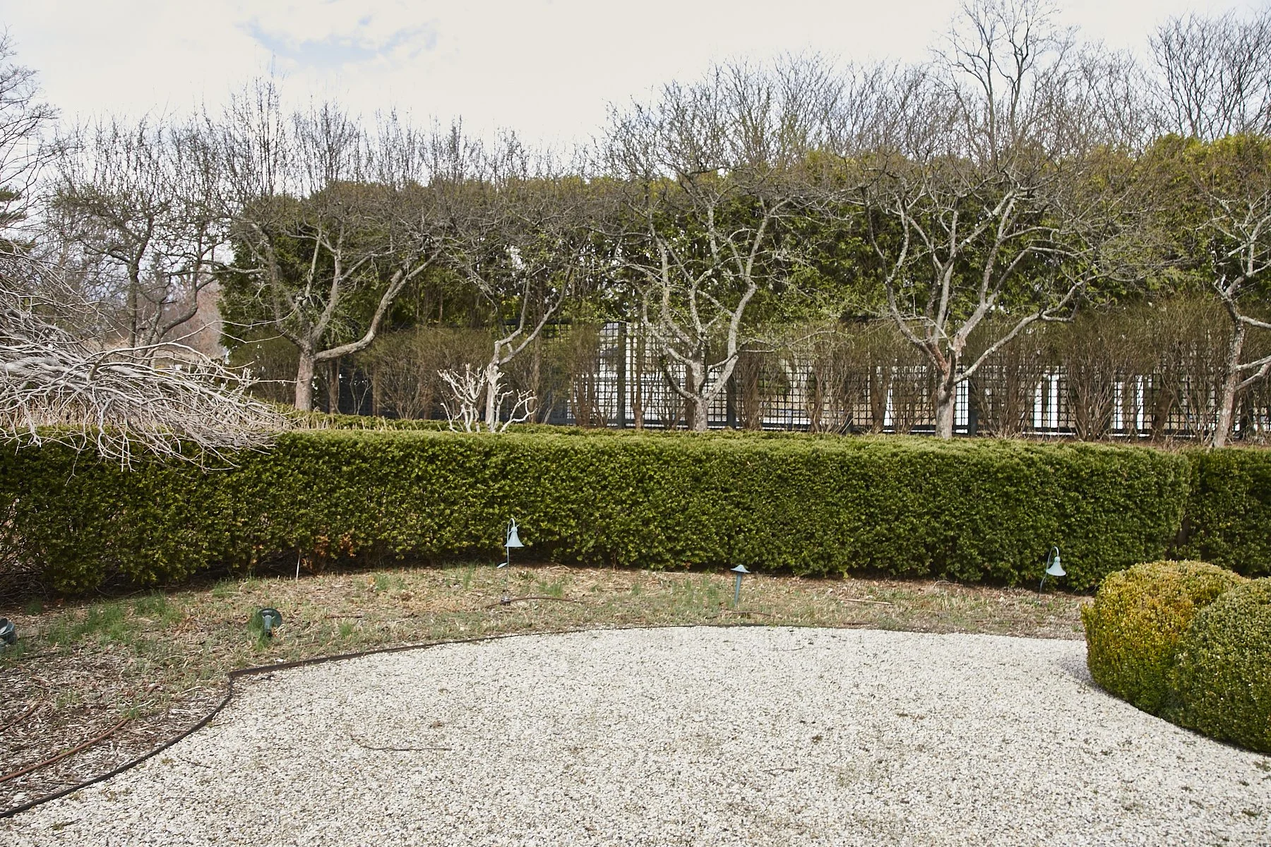 1985-4 Cedar Swamp , GLEN HEAD_185.jpg