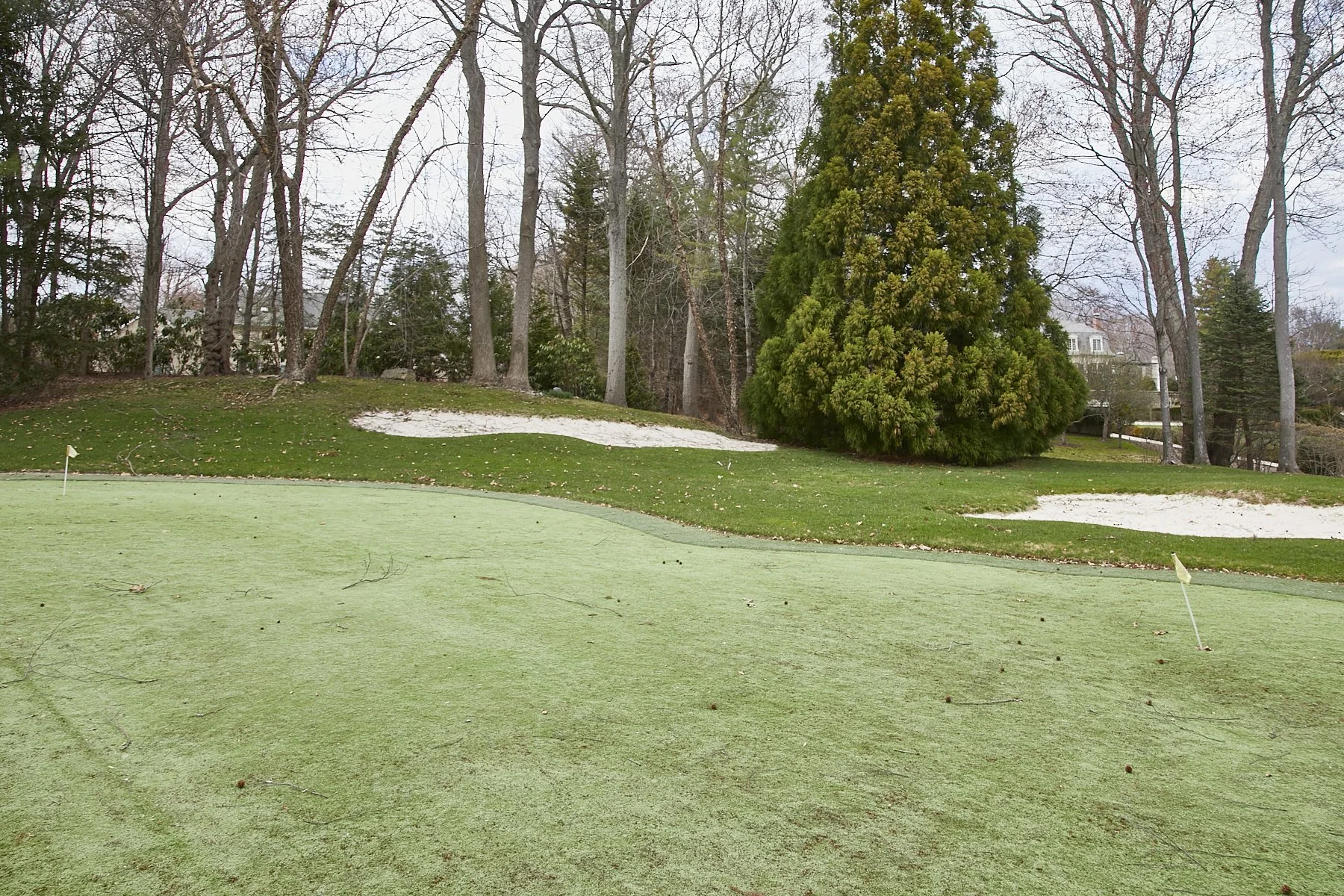 1985-4 Cedar Swamp , GLEN HEAD_130.jpg