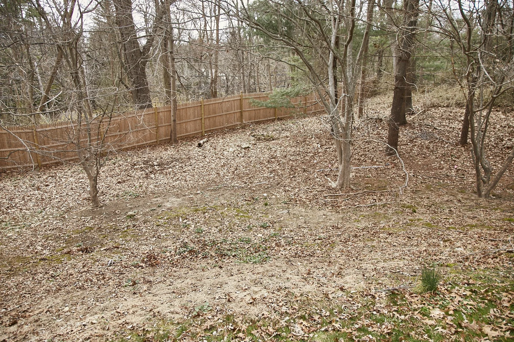 1985-4 Cedar Swamp , GLEN HEAD_133.jpg