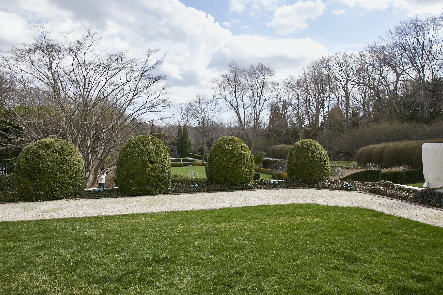 1985-4 Cedar Swamp , GLEN HEAD_231.jpg