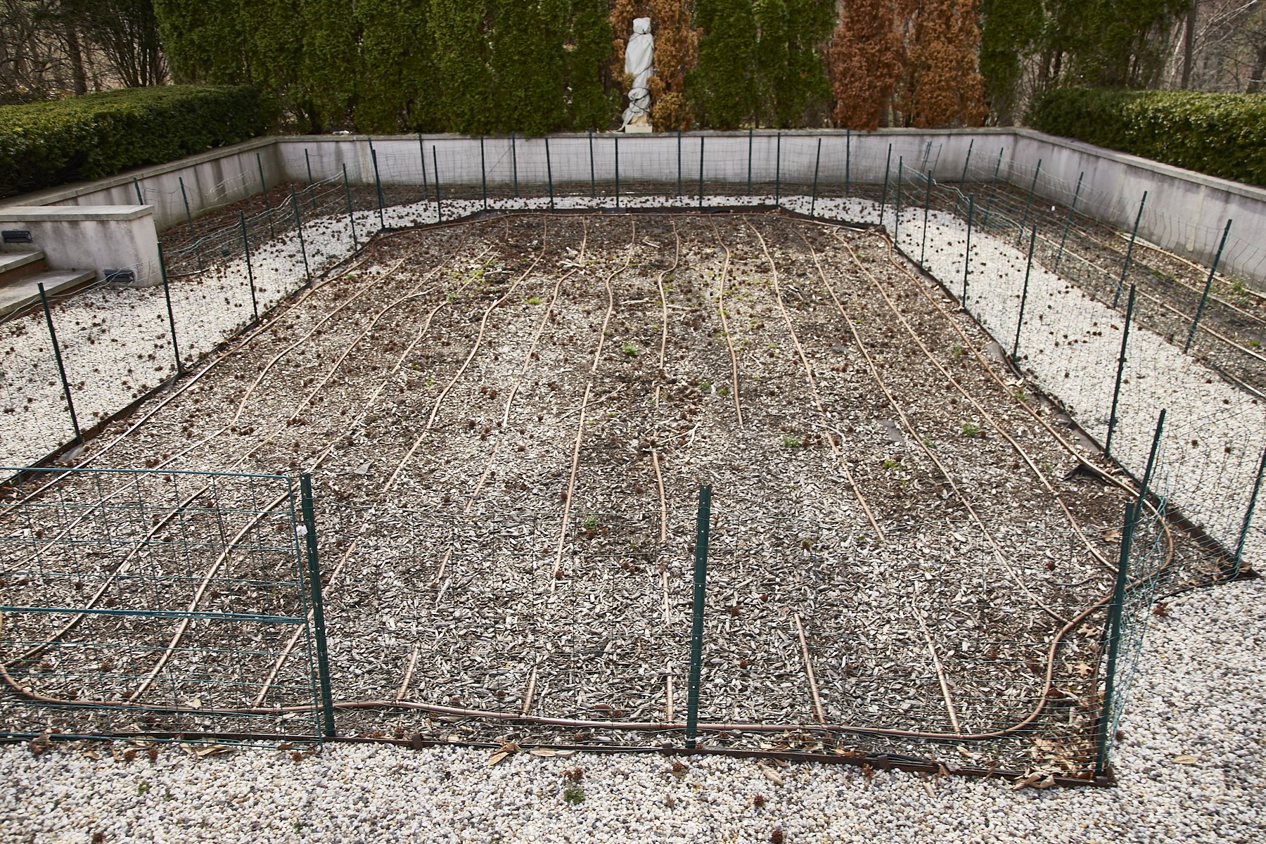 1985-4 Cedar Swamp , GLEN HEAD_251.jpg