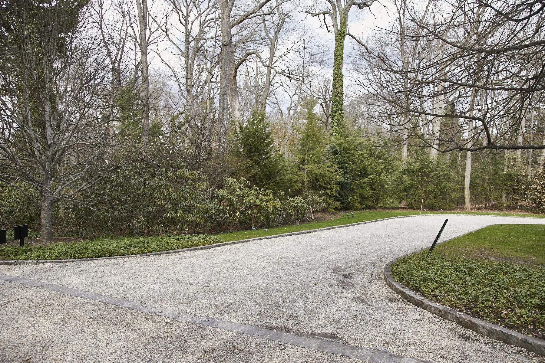 1985-4 Cedar Swamp , GLEN HEAD_304.jpg