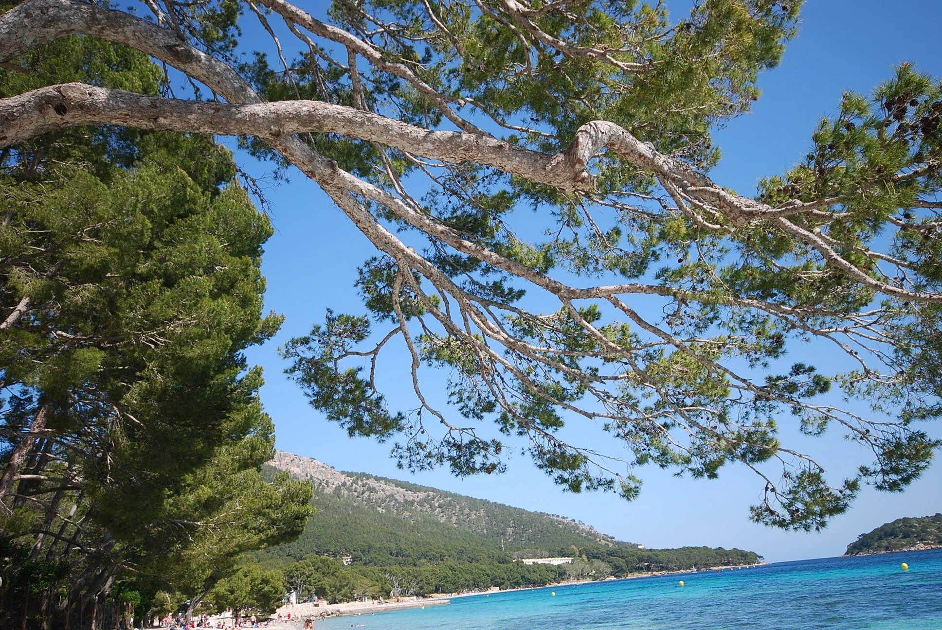 Formentor_31.JPG