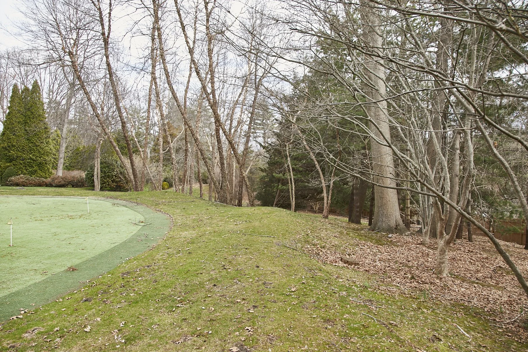 1985-4 Cedar Swamp , GLEN HEAD_136.jpg