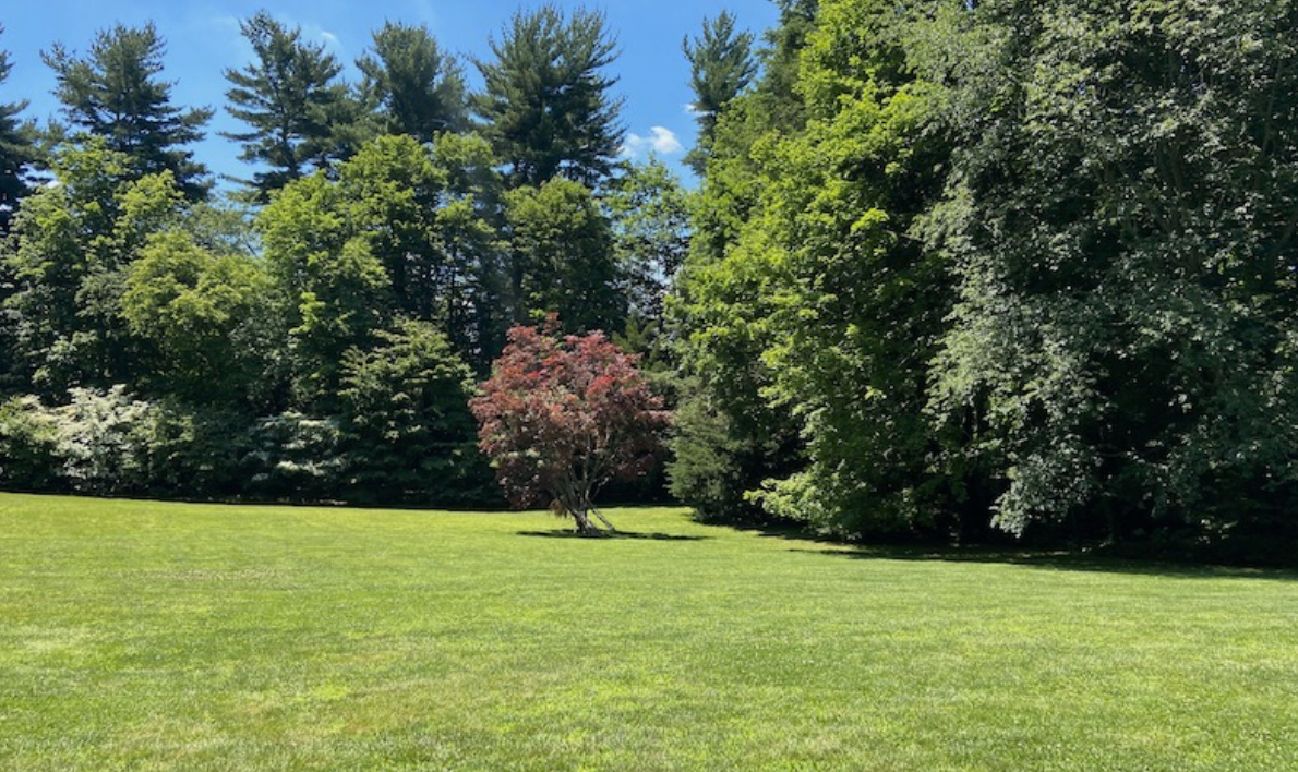 Screenshot 2026-03-30 at 4.04.29 PM.png