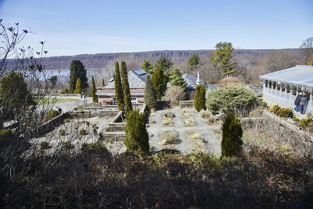 WAVE_HILL_BRONX_439.jpg